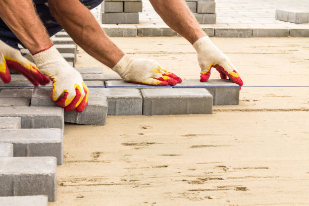 Best Local Driveway Pavers  in Ellisburg, NJ